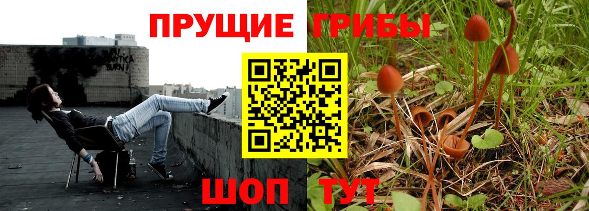 Кохма  Галлюциногенные грибы GOLDEN TEACHER  Вход с VPN  Галлюциногенные грибы ЛСД 
