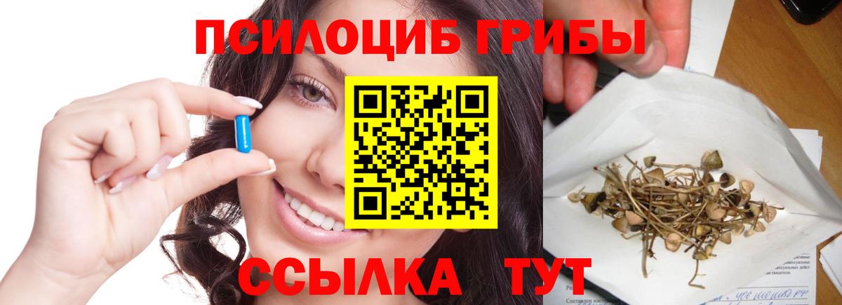 Галлюциногенные грибы мицелий Кохма
